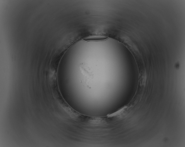 X0000093520521200710191335