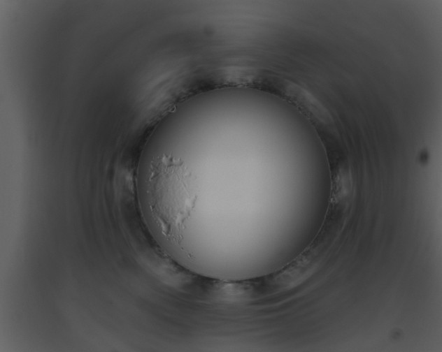 X0000093520522200710191335