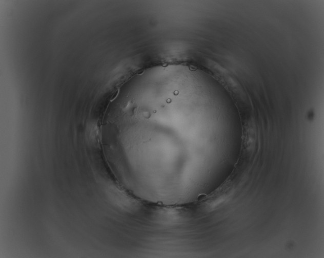 X0000093520523200710191335