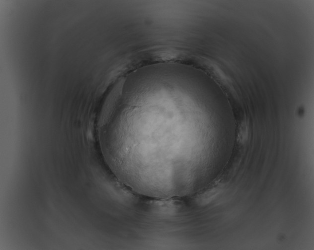 X0000093520524200710191335