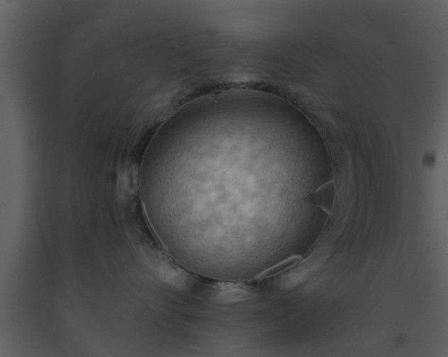 X0000093520528200710191334