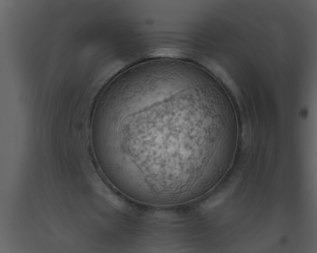 X0000093520529200710191334