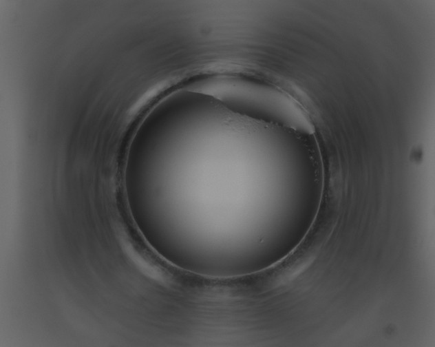 X0000093520530200710191334