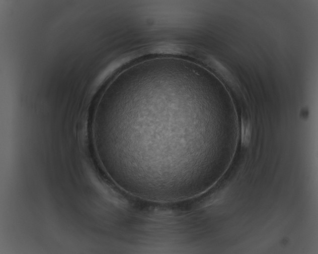 X0000093520531200710191334