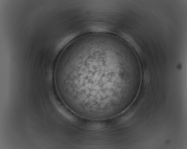 X0000093520533200710191334