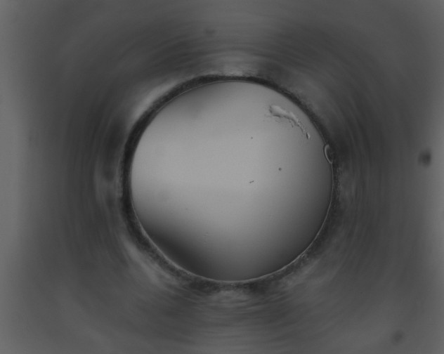 X0000093520536200710191334