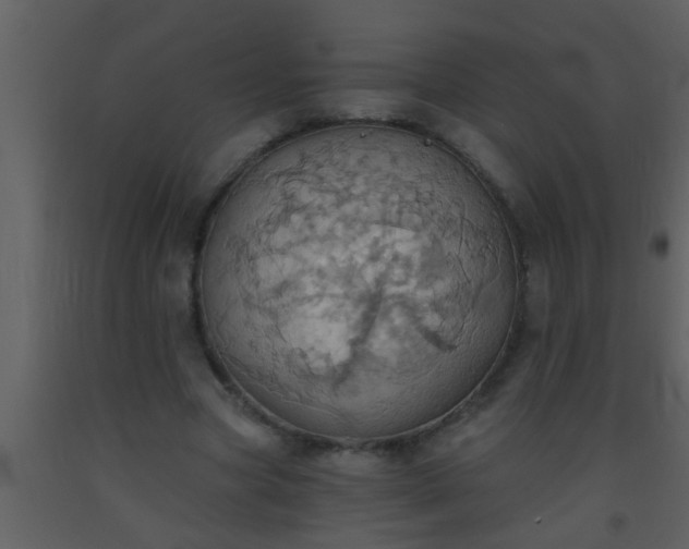 X0000093520537200710191334