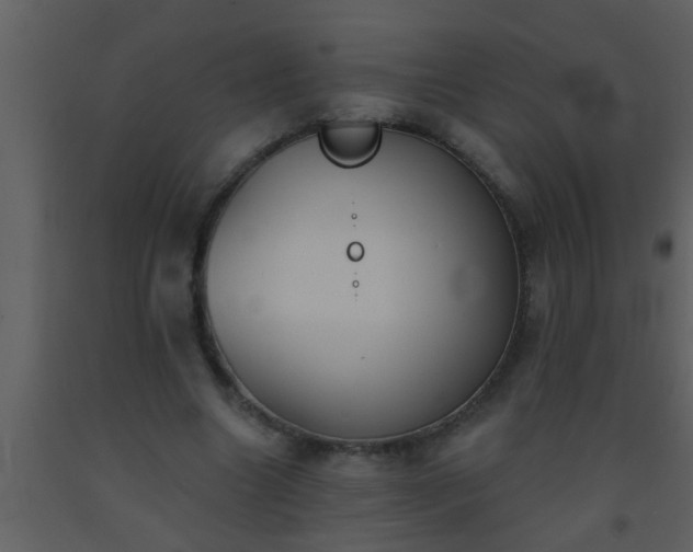 X0000093520538200710191334