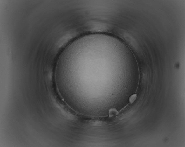 X0000093520539200710191334