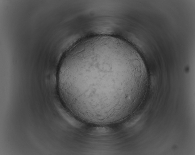 X0000093520541200710191334