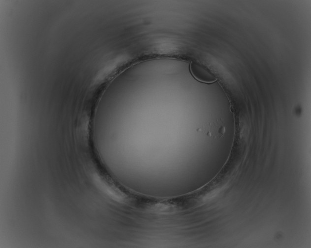 X0000093520542200710191334