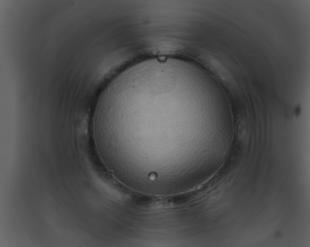 X0000093520543200710191334