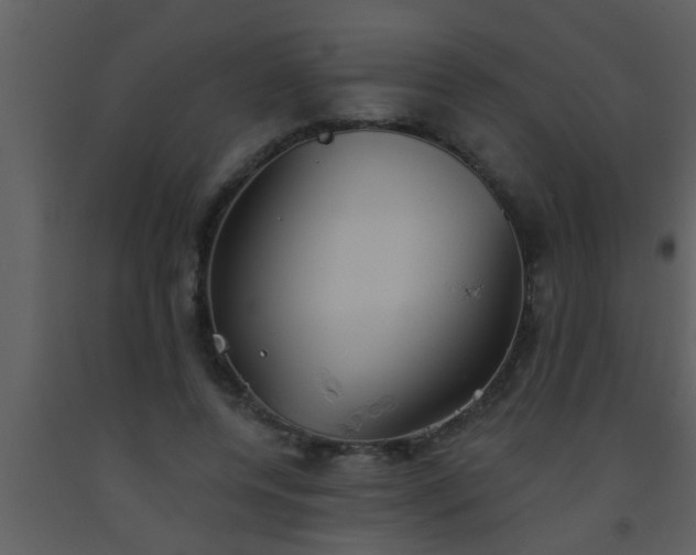 X0000093520544200710191334