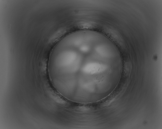 X0000093520545200710191334