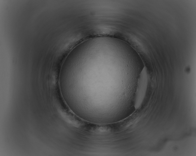 X0000093520546200710191334