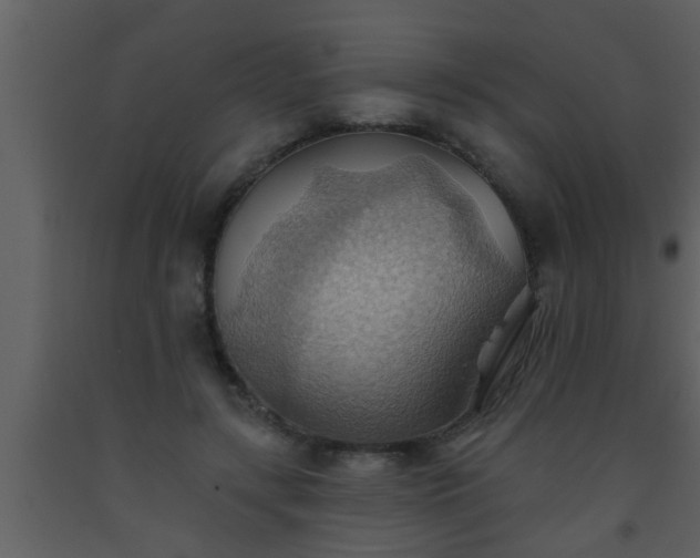 X0000093520547200710191334