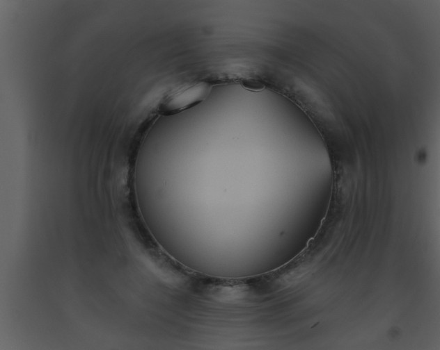 X0000093520548200710191334