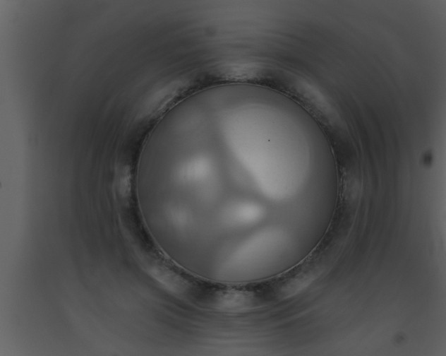 X0000093520549200710191334