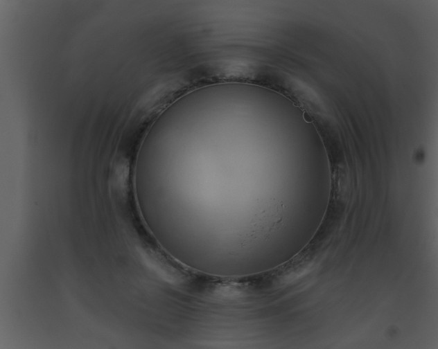 X0000093520550200710191334