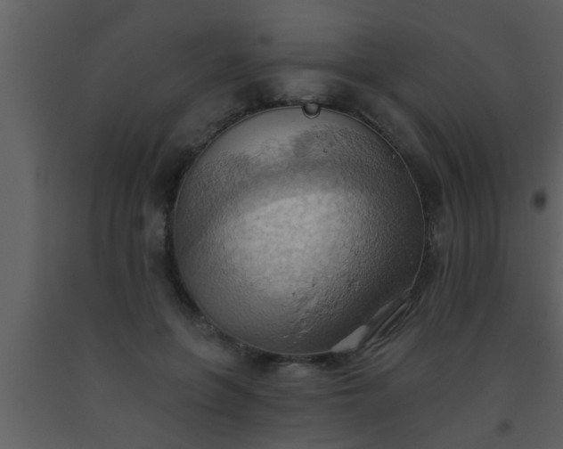 X0000093520551200710191334