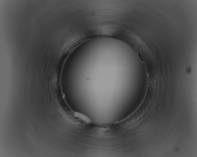 X0000093520552200710191334