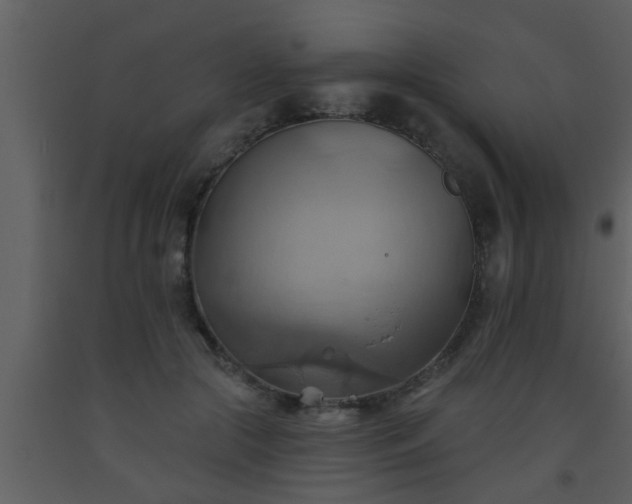 X0000093520553200710191334