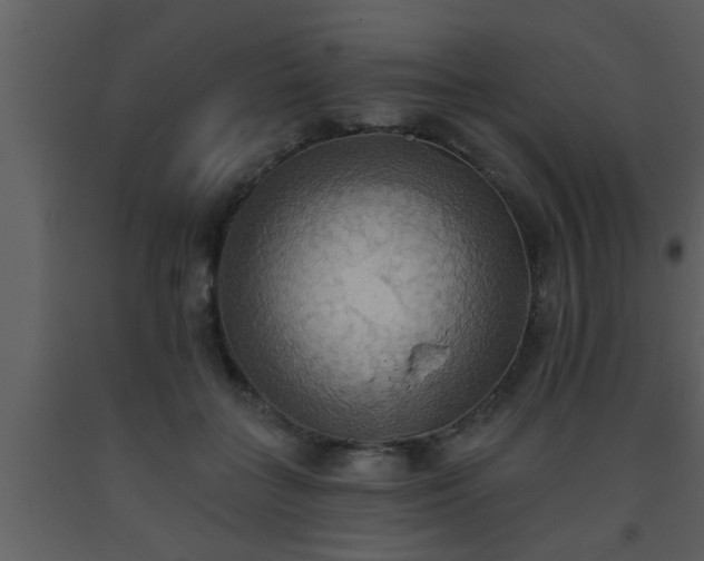 X0000093520555200710191334