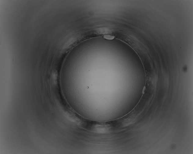 X0000093520556200710191334