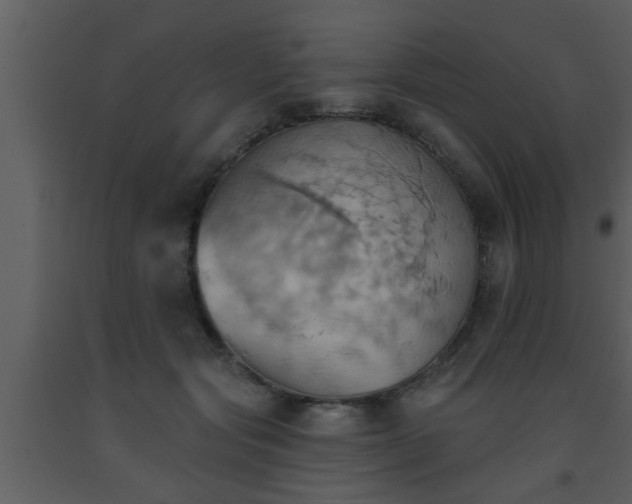 X0000093520557200710191334