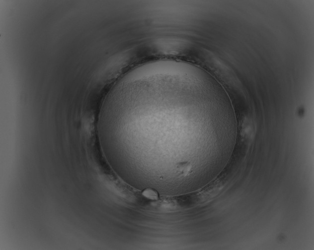 X0000093520559200710191334