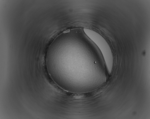 X0000093520560200710191334