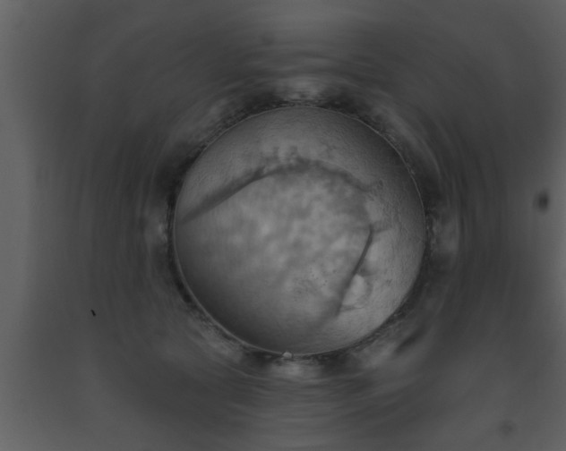 X0000093520561200710191334