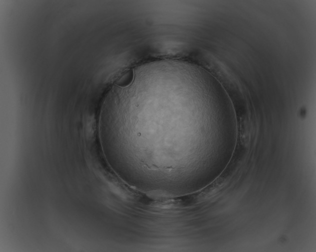 X0000093520563200710191334