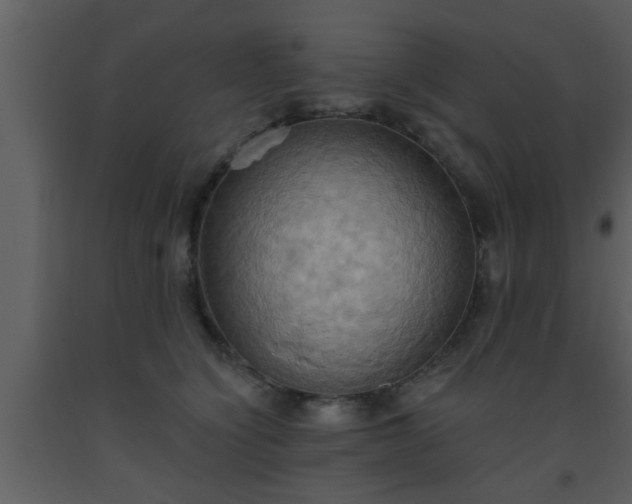 X0000093520564200710191334