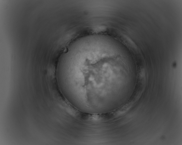 X0000093520565200710191334