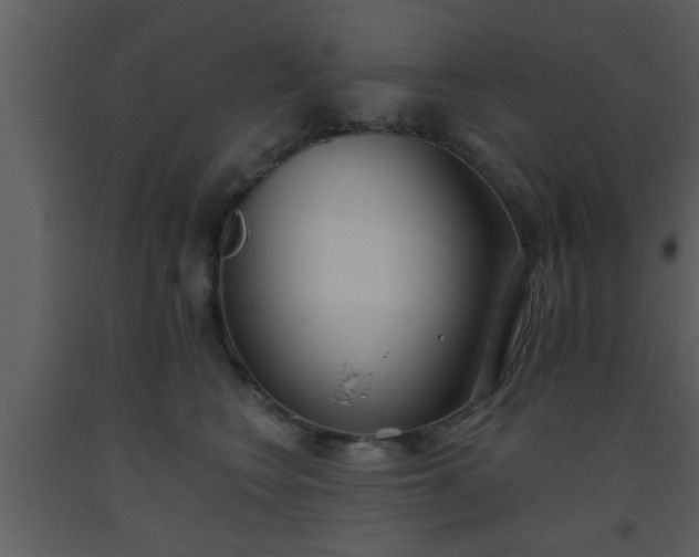 X0000093520566200710191334