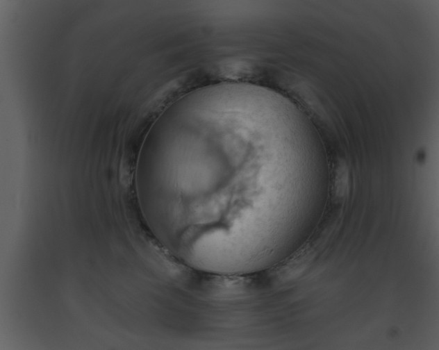 X0000093520569200710191334