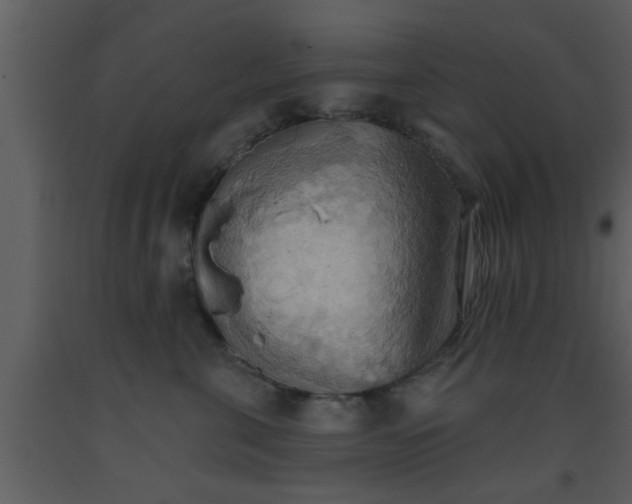 X0000093520571200710191334