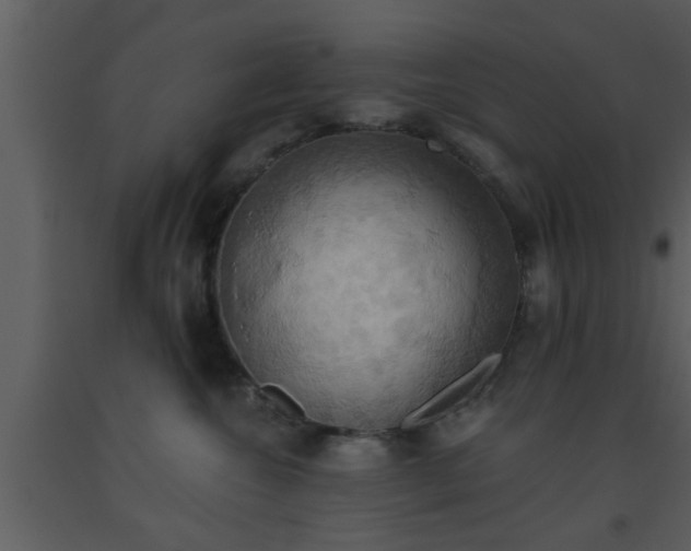 X0000093520572200710191334