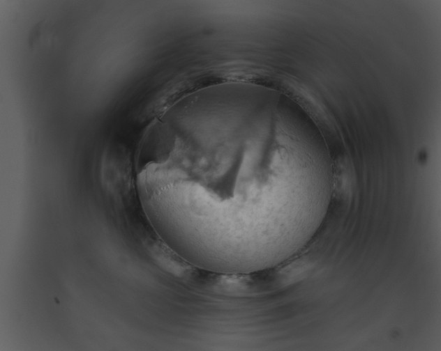 X0000093520573200710191334