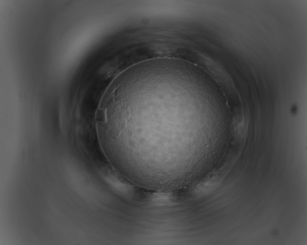 X0000093520574200710191334