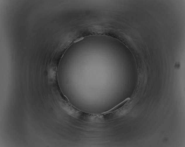 X0000093520576200710191334