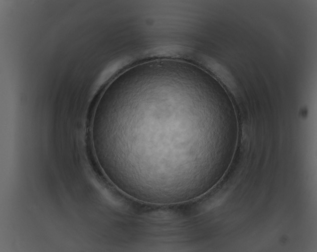 X0000093520578200710191334