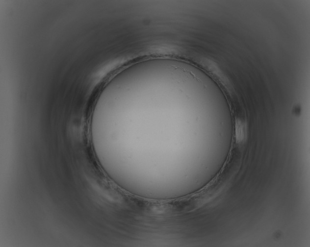 X0000093520579200710191334