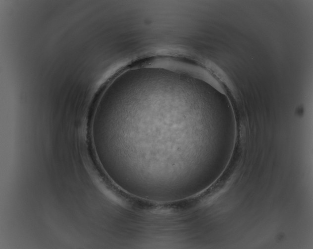 X0000093520581200710191334