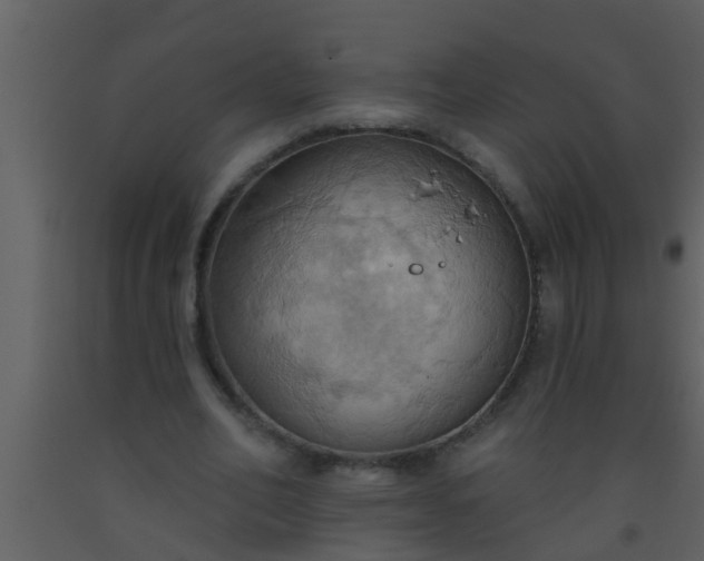 X0000093520582200710191334