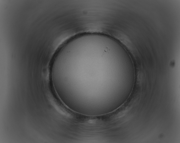 X0000093520584200710191334