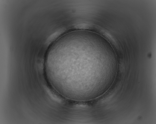 X0000093520586200710191334