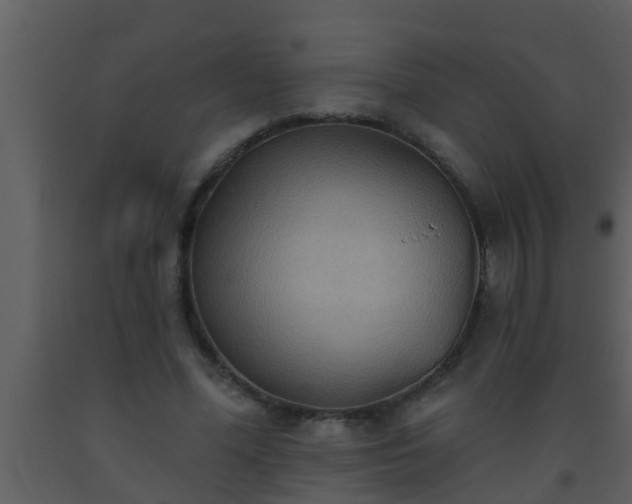 X0000093520588200710191334