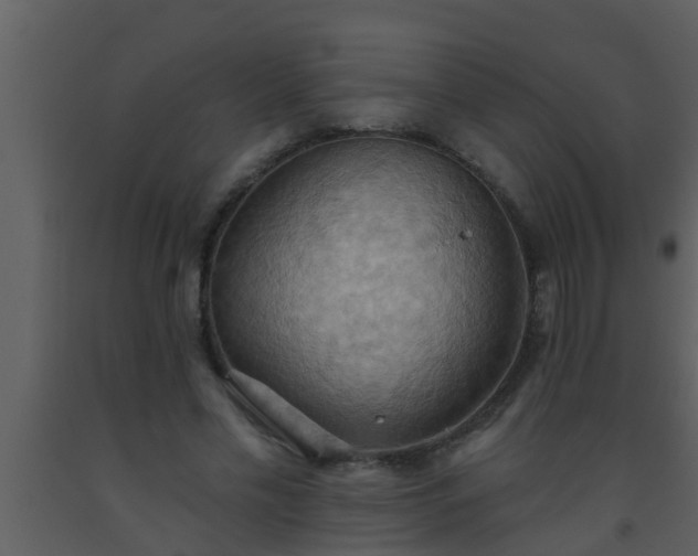 X0000093520589200710191334